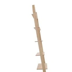 WANLECY 5-Tier Ladder Shelf Bookshelf, Solid Wood Ladder Shelf Wall Leaning Storage Rack Shelves, Free Standing Plant Flower Stand Holder For Living Room, Bathroom, Kitchen, Office, 20x 9.5X 63nches -Amazon Store 21xZhBS5E9L