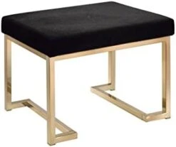 ACME Furniture Boice Bench, One Size, Black Fabric And Champagne -Amazon Store 317tWPCPEoL. AC