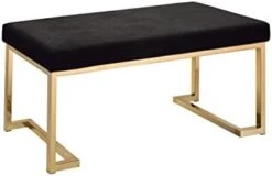 ACME Furniture Boice Bench, One Size, Black Fabric And Champagne -Amazon Store 31rsP7CtopL. AC