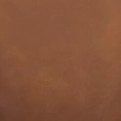 Amazon Brand – Rivet Decatur Modern Faux Leather Dining Chair, Set Of 2, 21"W, Tan Brown 14 Amazon Brand – Rivet Decatur Modern Faux Leather Dining Chair, Set Of 2, 21"W, Tan Brown -Amazon Store 31x2AvE9euL