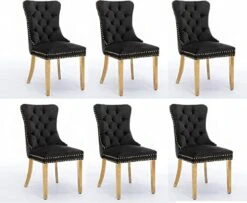 Danxee Set Of 2 High-end Velvet Dining Room Chairs Upholstered Elegant Tufted Chair With Luxurious Button Nailed Trim Ring Pull Armless Accent Chair (Black) -Amazon Store 41 VPNptsbL. AC