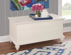 Powell Furniture Whitehurst Cedar Chest, White, 40.1/2" X 17.1/3" X 19" -Amazon Store 410k3napxqL