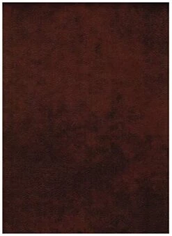 Kodiak Furniture Oregon Trail Saddle Full-size Futon Mattress Only -Amazon Store 4112Kfb8ggL