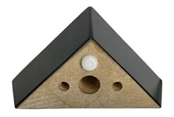 ComfortStyle Furniture Legs, Chair Couch Feet Replacement, Set Of 4 Wood Sofa Corner Feet, 2-1/2" Tall By 5" Wide Triangle, Parent (Dark Espresso) 12 ComfortStyle Furniture Legs, Chair Couch Feet Replacement, Set Of 4 Wood Sofa Corner Feet, 2-1/2" Tall By 5" Wide Triangle, Parent (Dark Espresso) -Amazon Store 412jwhMtrVL