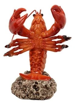 Ebros Nautical Coastal Dancing Red Lobster Drunken Cajun Creole Delight Wine Bottle Holder Caddy Figurine Home Kitchen Dining Party Hosting Decor Sea Life Marine Shell Seafood Shrimping Fishing Statue -Amazon Store 413i7NwkNfL