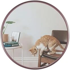 SD SOFT DANCE Round Mounting Mirror Wall Decor - Circle Vanity Mirror With Metal Rose Gold Frame For Contemporary Rooms 24 Inch -Amazon Store 41DNopIDXWS. AC