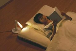 TWINBIRD LED Futon Light LE-H224W White LE-H224W -Amazon Store 41H6X9hMvHL