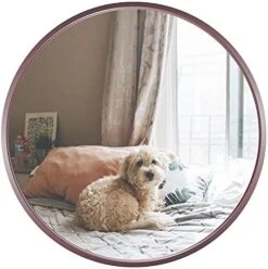 SD SOFT DANCE Round Mounting Mirror Wall Decor - Circle Vanity Mirror With Metal Rose Gold Frame For Contemporary Rooms 24 Inch -Amazon Store 41RFfngiqS. AC
