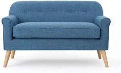 Christopher Knight Home Mariah Mid-Century Modern Loveseat, Muted Blue 14 Christopher Knight Home Mariah Mid-Century Modern Loveseat, Muted Blue -Amazon Store 41SyrDWWsfL. AC