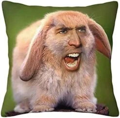 Pillowcase For Home Decor, Sofa, Living Room, Bedroom Decor 18 X 18 Inches 25 Pillowcase For Home Decor, Sofa, Living Room, Bedroom Decor 18 X 18 Inches -Amazon Store 41WXH30IlRL. AC