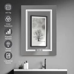 MENGK FCH 28 * 20in OZON Board, 1 Door, 2 Layers, Led Light, Anti-Fog, Three-Color Lighting, Brightness Adjustment, Power-Off Memory, With 2 Plugs, 2 USB Ports, Bathroom Wall Cabinet, Black -Amazon Store 41ZG8dadThL