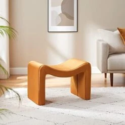 VANOMi Small Footstool Ottoman, Multi-Functional Modern Foot Stool, Sofa Footrest Extra Seating For Living Room, Entryway, Hallways And Bedrooms 26 VANOMi Small Footstool Ottoman, Multi-Functional Modern Foot Stool, Sofa Footrest Extra Seating For Living Room, Entryway, Hallways And Bedrooms -Amazon Store 41ZdqBWwBfL. AC 1