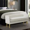 Meridian Furniture Audrey Collection Modern | Contemporary Velvet Upholstered Bench With Sturdy Metal Legs In Gold Finish, 52" W X 19" D X 24" H, Cream -Amazon Store 41c95t6KKdL