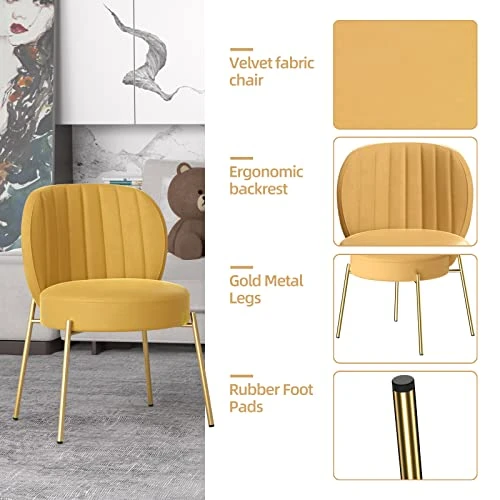 Sucrever Dining Chairs Set Of 2, Upholstered Dining Chairs, Kitchen & Dining Room Chairs, Mid Century Modern Velvet Accent Chair With Gold Legs For Dining Kitchen Living Room Bedroom, Yellow 5 Sucrever Dining Chairs Set Of 2, Upholstered Dining Chairs, Kitchen & Dining Room Chairs, Mid Century Modern Velvet Accent Chair With Gold Legs For Dining Kitchen Living Room Bedroom, Yellow - Image 3