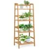 GRAFFY 4-Tier Ladder Shelf Plant Stand, Bamboo Ladder-Shaped Bookcase Storage Shelves, Multifunctional Display Rack, Plant Stand Flower Pots Holder For Living Room/Bathroom/Bedroom (Natural)