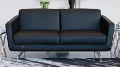 Zuri Furniture Modern Armondo Loveseat In Black Microfiber And Genuine Leather -Amazon Store 41j4uDm oYL. AC