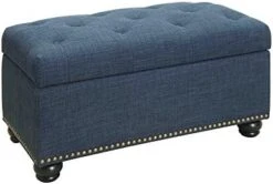 Convenience Concepts Designs4Comfort 7th Avenue Storage Ottoman, Blue Fabric 11 Convenience Concepts Designs4Comfort 7th Avenue Storage Ottoman, Blue Fabric -Amazon Store 41uWn04tXAL. AC