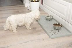 BranQ - Home Essential BranQ Plastic Shoe Rack, 78.5 X 38,5 X 3 Cm (LxBxH), Cream -Amazon Store 41y9qJZD2WL