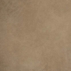 Amazon Brand – Rivet Frederick Mid-Century Channel Tufted Leather Sofa Couch, 77.5"W, Taupe 17 Amazon Brand – Rivet Frederick Mid-Century Channel Tufted Leather Sofa Couch, 77.5"W, Taupe -Amazon Store 516VMVrgqlL