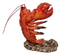 Ebros Nautical Coastal Dancing Red Lobster Drunken Cajun Creole Delight Wine Bottle Holder Caddy Figurine Home Kitchen Dining Party Hosting Decor Sea Life Marine Shell Seafood Shrimping Fishing Statue -Amazon Store 51BE2xq1wNL