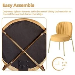 Sucrever Dining Chairs Set Of 2, Upholstered Dining Chairs, Kitchen & Dining Room Chairs, Mid Century Modern Velvet Accent Chair With Gold Legs For Dining Kitchen Living Room Bedroom, Yellow 16 Sucrever Dining Chairs Set Of 2, Upholstered Dining Chairs, Kitchen & Dining Room Chairs, Mid Century Modern Velvet Accent Chair With Gold Legs For Dining Kitchen Living Room Bedroom, Yellow -Amazon Store 51IKsPABkXL