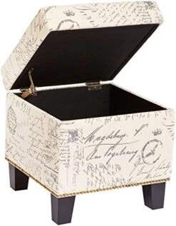 FIRST HILL FHW Living Storage Ottoman, Small, Black -Amazon Store 51KSY u4cNL. AC