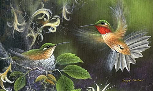 Toland Home Garden 800036 Rufous Hummingbird Spring Door Mat 18x30 Inch Summer Outdoor Doormat For Entryway Indoor Entrance 3 Toland Home Garden 800036 Rufous Hummingbird Spring Door Mat 18x30 Inch Summer Outdoor Doormat For Entryway Indoor Entrance