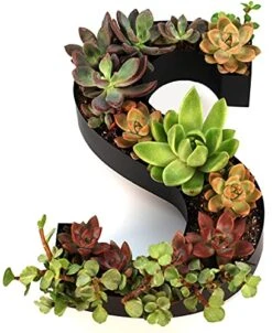 Wine Cork Holder Makes For Great Wine Accessories Perfect Monogrammed Gifts For Women To Store Wine Corks. Wine Decor Or Wine Cork Holder Decor Will Brighten Up Kitchen! (Letter"N") -Amazon Store 51T3G2dsCPS