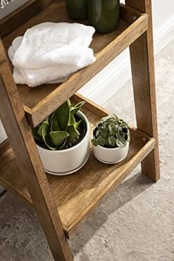 Kate And Laurel Lowry Farmhouse Wood Ladder Shelf, 18 X 14 X 58, Natural Wood, Decorative Modern Leaning Shelf For Storage And Display -Amazon Store 51bz2cKbjpL