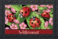 Briarwood Lane Ladybugs On Leaves Spring Doormat Welcome Indoor Outdoor 30" X 18"