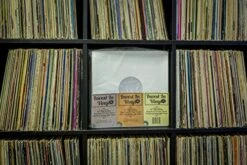 50 Poly Lined Paper Protective LP Inner Sleeves Vinyl Record Sleeves (80 GSM Ivory Color) Provide Your LP Collection With The Proper Protection - Invest In Vinyl -Amazon Store 51ebRrFk1cL