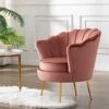 DAGONHIL Pink Velvet Accent Chair For Living Room, Lounge Chair For Bedroom With Gold Metal Legs, Vanity Chair For Makeup Room, Dusty Pink -Amazon Store 51mJ4zntt8L