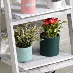 Babion Ladder Shelf, 4-Tier Ladder Bookshelf, White Bookcase With Shelves, Storage Rack Plant Stand For Home, Bedroom, Bathroom,Office, 16 X 14 X 46 Inch, Industrial Style, Wood Frame 10 Babion Ladder Shelf, 4-Tier Ladder Bookshelf, White Bookcase With Shelves, Storage Rack Plant Stand For Home, Bedroom, Bathroom,Office, 16 X 14 X 46 Inch, Industrial Style, Wood Frame -Amazon Store 51zdDssH4uL